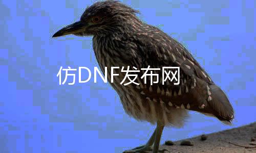 仿DNF发布网