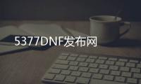 5377DNF发布网