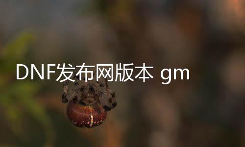 DNF发布网版本 gm