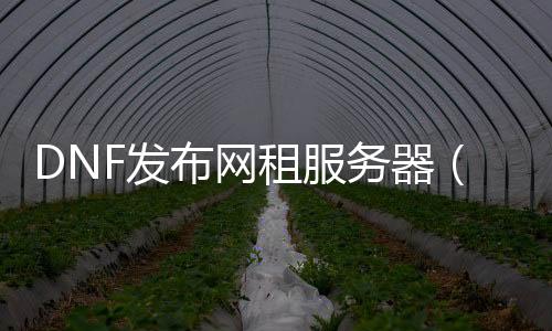 DNF发布网租服务器（DNF发布网账号租赁）