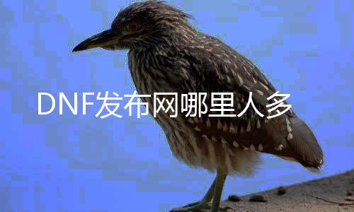 DNF发布网哪里人多