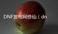 DNF发布网修仙（dnf修炼等级划分）