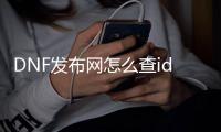 DNF发布网怎么查id（dnf账号查看）