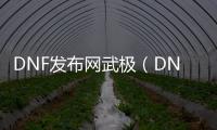 DNF发布网武极（DNF发布网与勇士武极是什么职业）