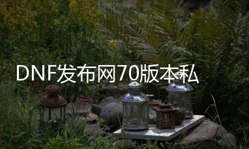 DNF发布网70版本私服满级（DNF发布网70版本吧）