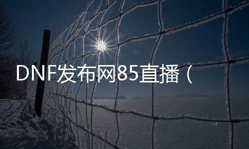 DNF发布网85直播（DNF发布网85b）