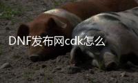 DNF发布网cdk怎么查（DNF发布网 cdk）