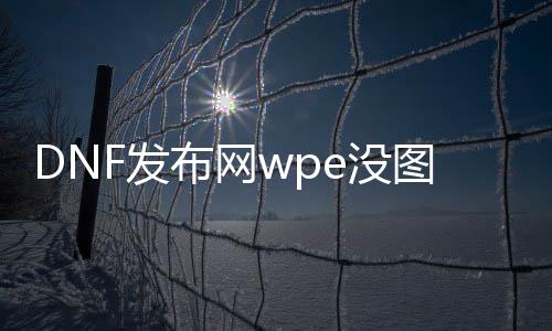 DNF发布网wpe没图标（DNF发布网界面什么都没有）