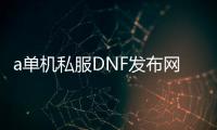 a单机私服DNF发布网