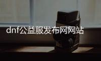 dnf公益服发布网网站发布网300（dnf公益服发布网啥意思）