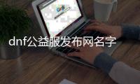 dnf公益服发布网名字大全（最全的dnf公益服发布网服务器名称推荐）