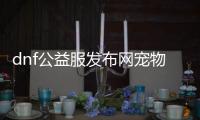 dnf公益服发布网宠物罐子获取方法，dnf公益服发布网宠物罐子种类介绍