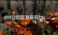 dnf公益服发布网bug（dnf公益服发布网站）