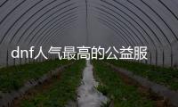 dnf人气最高的公益服发布网游戏（dnf公益服发布网哪个职业厉害）