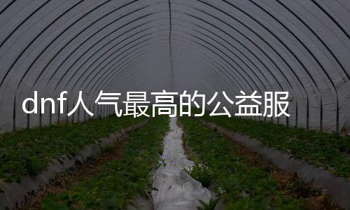 dnf人气最高的公益服发布网排行榜,最受玩家喜爱的dnf公益服发布网推荐