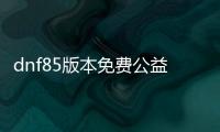 dnf85版本免费公益服发布网直播（精彩的游戏直播体验）