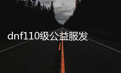 dnf110级公益服发布网新开（dnf公益服发布网哪个职业厉害）